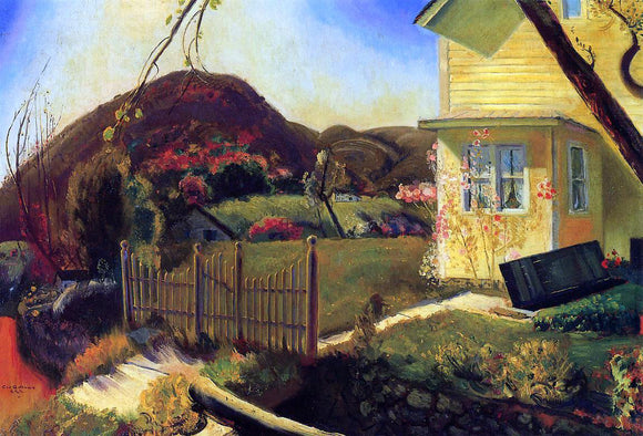  George Wesley Bellows A Picket Fence - Canvas Art Print