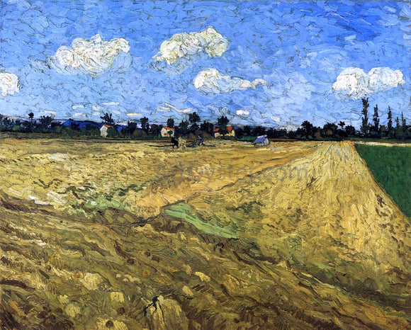  Vincent Van Gogh The Ploughed Field - Canvas Art Print