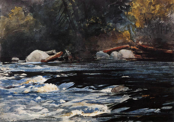 Winslow Homer The Rapids, Husdon River, Adirondacks - Canvas Art Print