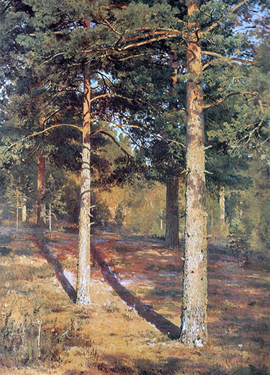  Ivan Ivanovich Shishkin The Sun-lit Pines - Canvas Art Print