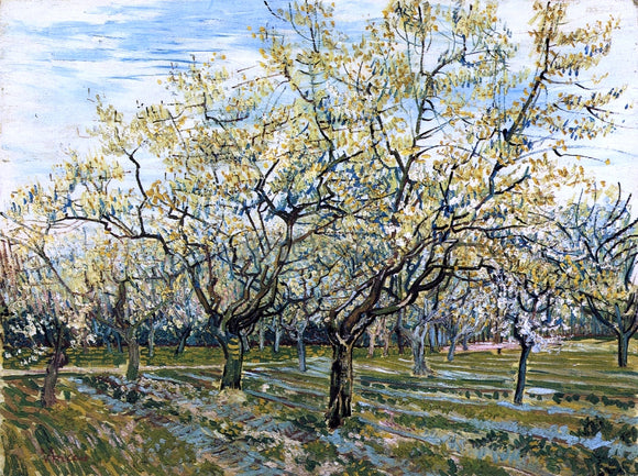  Vincent Van Gogh The White Orchard - Canvas Art Print