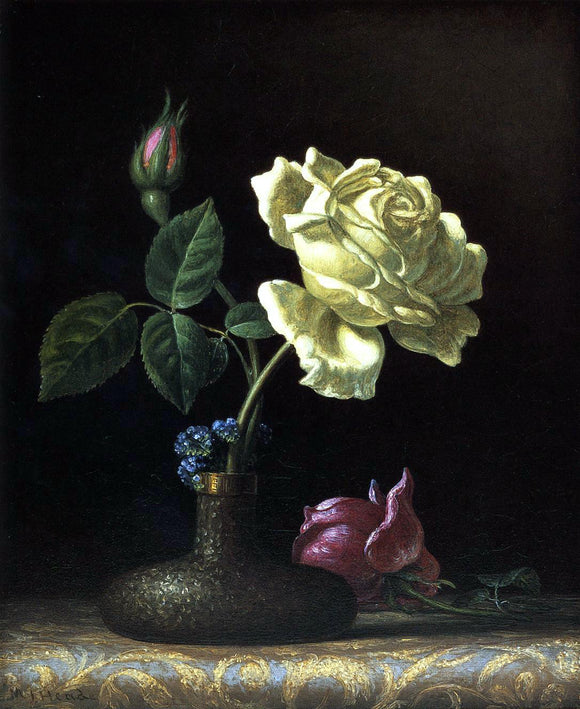  Martin Johnson Heade The White Rose - Canvas Art Print