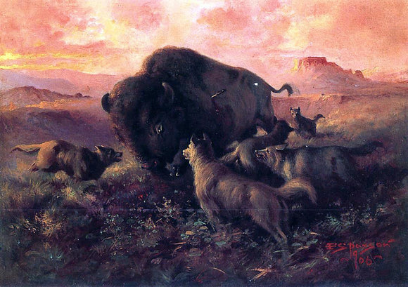  Frank Tenney Johnson The Wounded Buffalo - Canvas Art Print