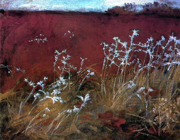  John Singer Sargent Thistles - Canvas Art Print