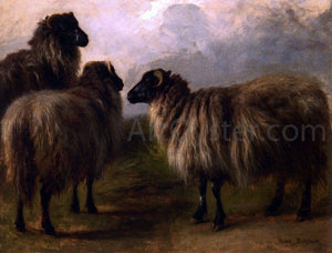  Rosa Bonheur Three Wooly Sheep - Canvas Art Print