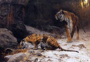  Wilhelm Kuhnert Tigers at a Drinking Pool - Canvas Art Print