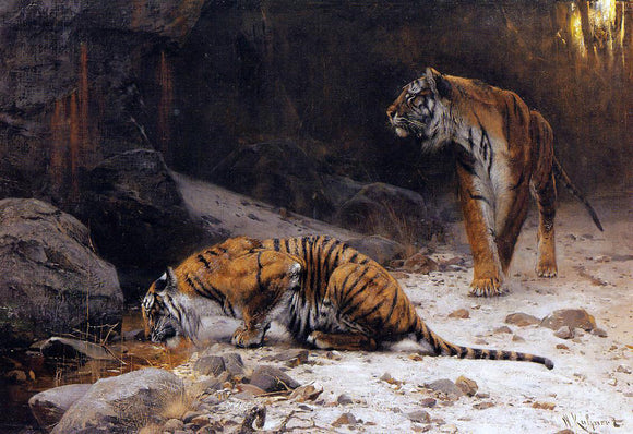  Wilhelm Kuhnert Tigers at a Drinking Pool - Canvas Art Print