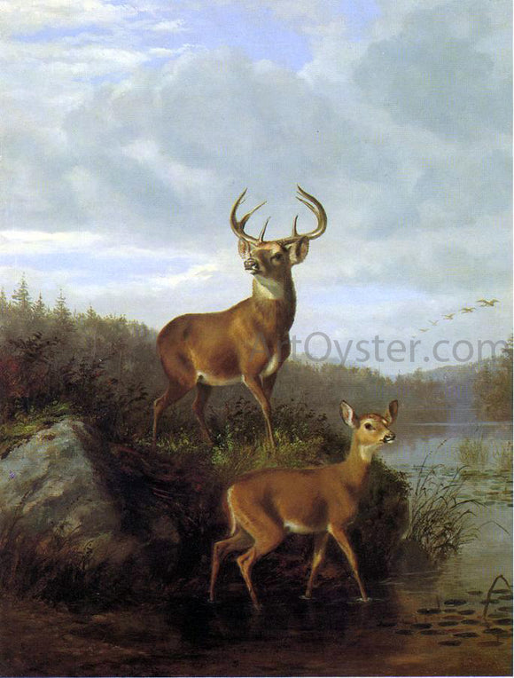  Hyppolite Sebron Deer - Canvas Art Print