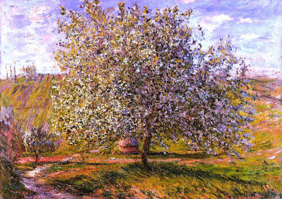  Claude Oscar Monet Tree in Flower near Vetheuil - Canvas Art Print