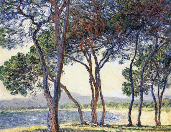  Claude Oscar Monet Trees by the Seashore at Antibes - Canvas Art Print
