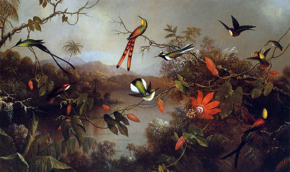  Martin Johnson Heade Tropical Landscape with Ten Hummingbirds - Canvas Art Print