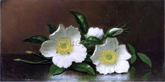  Martin Johnson Heade Two Cherokee Rose Blossoms on a Table (also known as Cherokee Roses) - Canvas Art Print