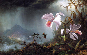  Martin Johnson Heade Two Fighting Hummingbirds with Two Orchids - Canvas Art Print