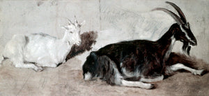  Jacques-Laurent Agasse Two Goats - Canvas Art Print