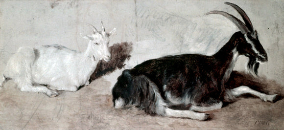  Jacques-Laurent Agasse Two Goats - Canvas Art Print