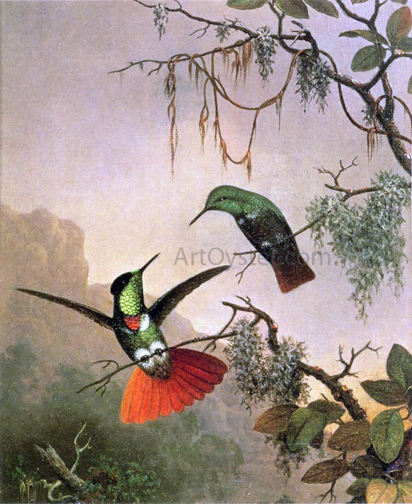  Martin Johnson Heade Two Hooded Visorbearer Hummingbirds - Canvas Art Print