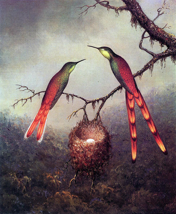  Martin Johnson Heade Two Hummingbirds Garding an Egg - Canvas Art Print