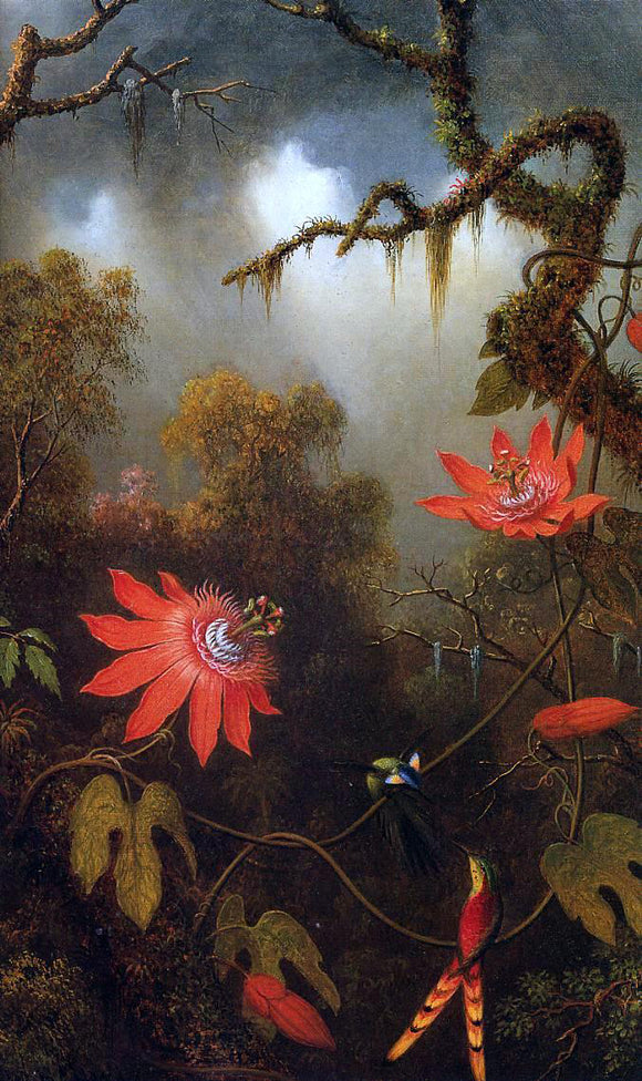  Martin Johnson Heade Two Hummingbirds Perched on Passion Flower Vines - Canvas Art Print