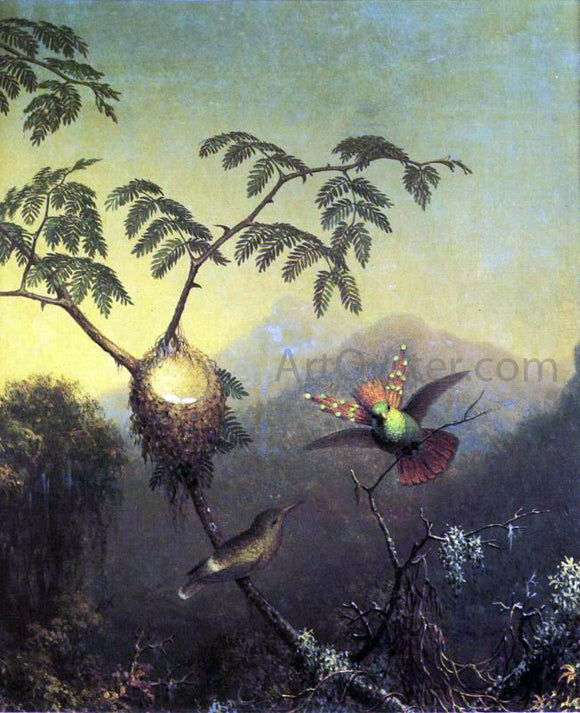  Martin Johnson Heade Two Hummingbirds: Tufted Coquettes - Canvas Art Print