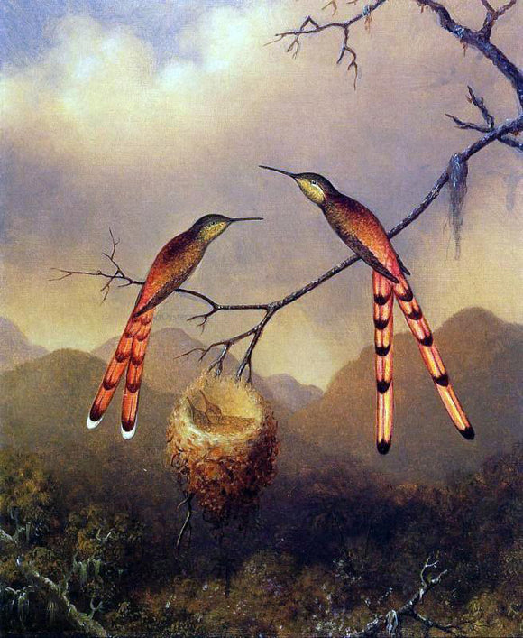  Martin Johnson Heade Two Hummingbirds with Their Young - Canvas Art Print