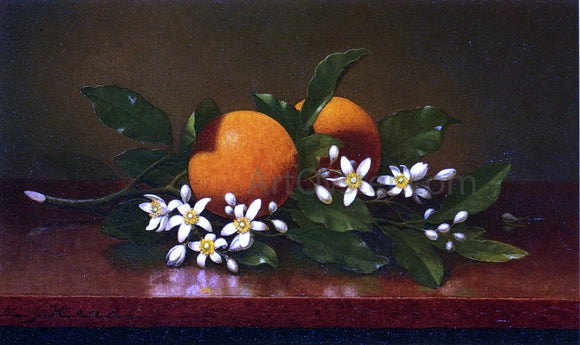  Martin Johnson Heade Two Oranges with Orange Blossoms - Canvas Art Print