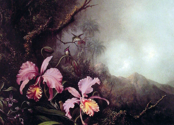  Martin Johnson Heade Two Orchids in a Mountain Landscape - Canvas Art Print