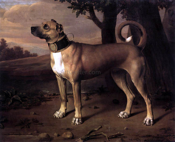  Johann Christof Merck Ulmer Dogge - Canvas Art Print