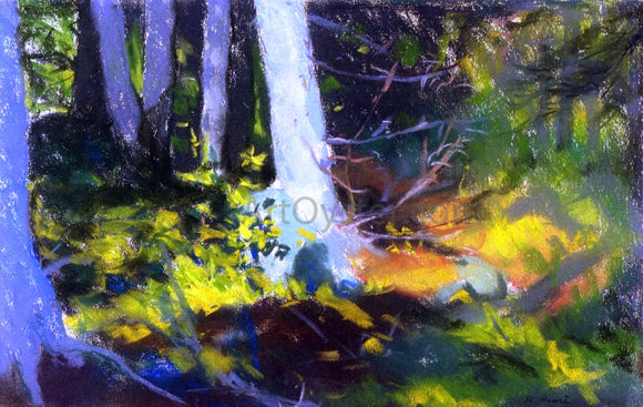 Robert Henri Under the Trees - Monhegan - Canvas Art Print