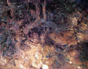  John Singer Sargent Valdemosa, Majorca: Thistles and Herbage on a Hillside - Canvas Art Print