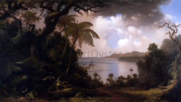  Martin Johnson Heade View from Fern-Tree Walk, Jamaica - Canvas Art Print