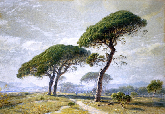  William Stanley Haseltine View of Cannes with Parasol Pines - Canvas Art Print