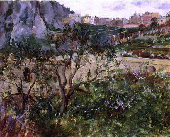  Louis Ritter View of Capri - Canvas Art Print
