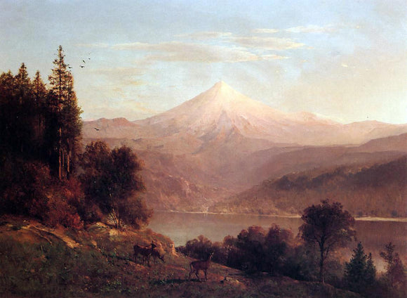  Thomas Hill View of Mount Hood - Canvas Art Print