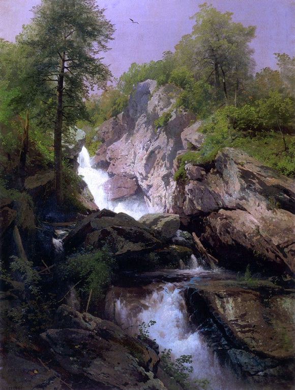  Herman Herzog Waterfall - Canvas Art Print