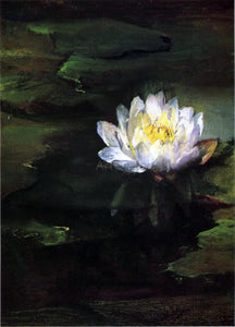  John La Farge Water-Lily, Study from Nature - Canvas Art Print