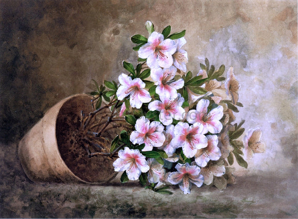  Raoul Paul Maucherat De Longpre White Azaleas in a Flower Pot - Canvas Art Print
