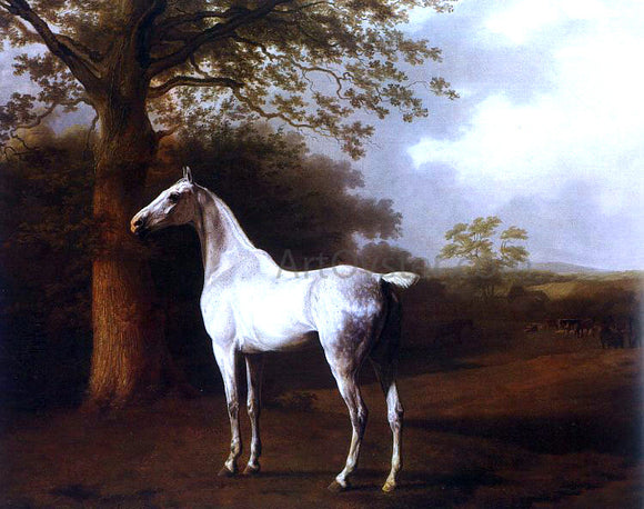  Jacques-Laurent Agasse White Horse in Pasture - Canvas Art Print