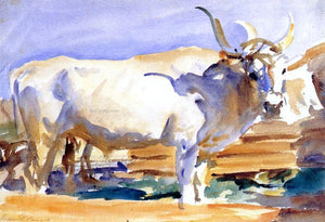  John Singer Sargent A White Ox at Siena - Canvas Art Print