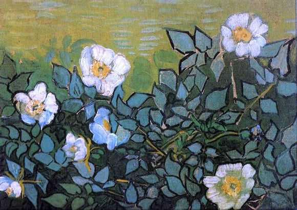  Vincent Van Gogh Wild Roses - Canvas Art Print