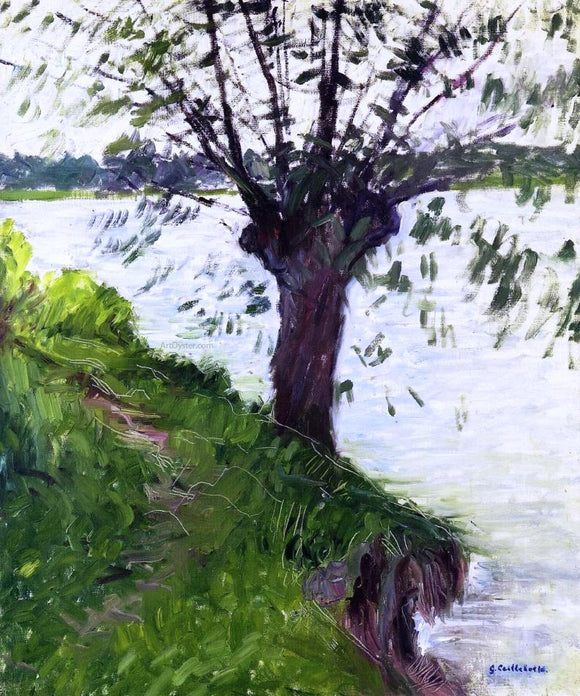  Gustave Caillebotte Willow on the Banks of the Seine - Canvas Art Print