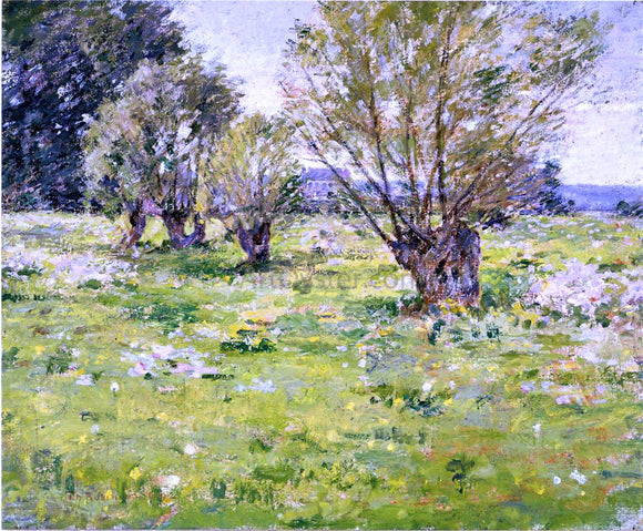  Theodore Robinson Willows and Wildflowers - Canvas Art Print