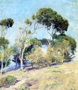  Guy Orlando Rose Windswept Trees, Laguna - Canvas Art Print