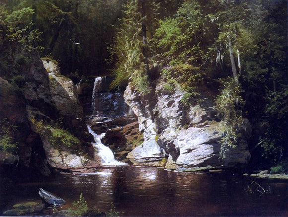 Herman Herzog Woodland Pool, Newry, Maine - Canvas Art Print