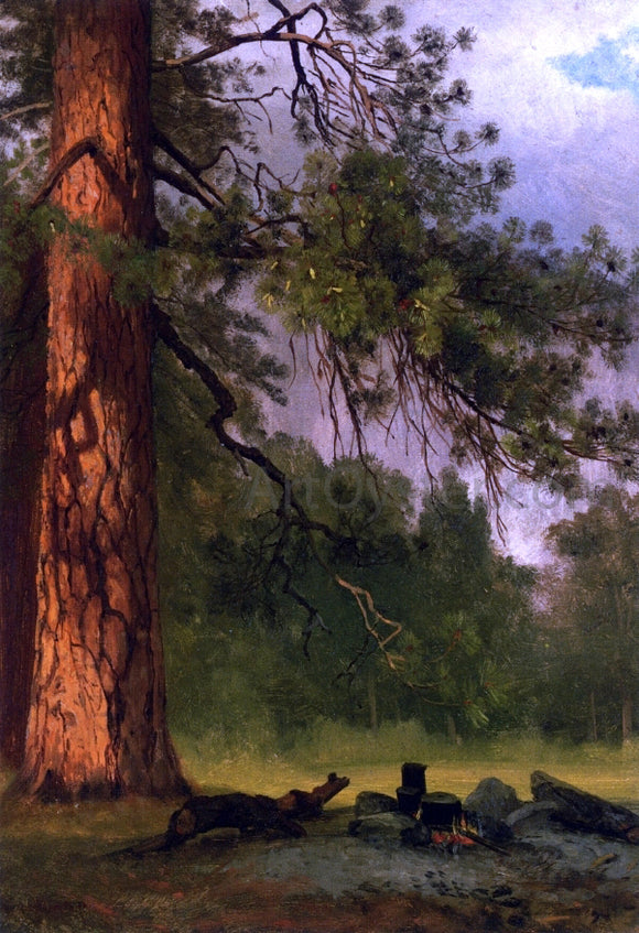  Albert Bierstadt Yosemite Camp Kitchen - Canvas Art Print