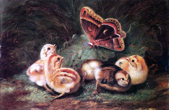  Arthur Fitzwilliam Tait Young Chickens - Canvas Art Print